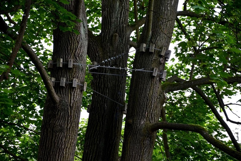 Cabling
