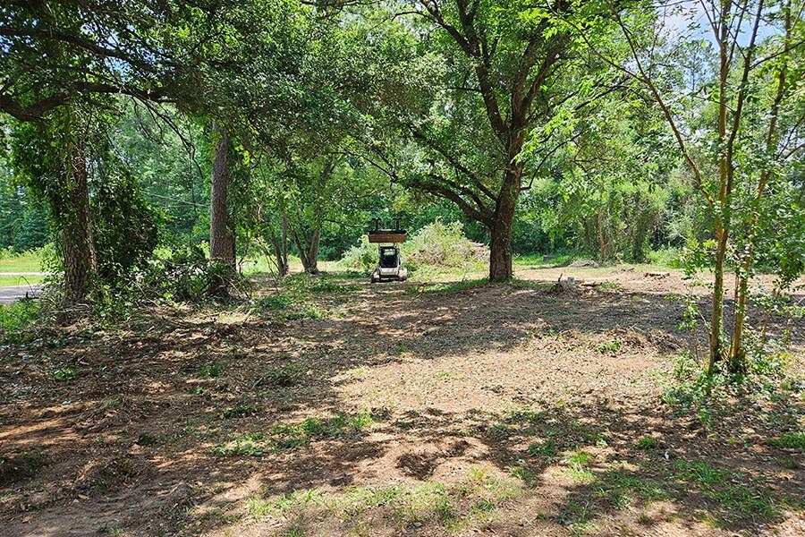 Site Clearing