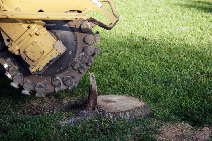 Stump Grinding & Removal