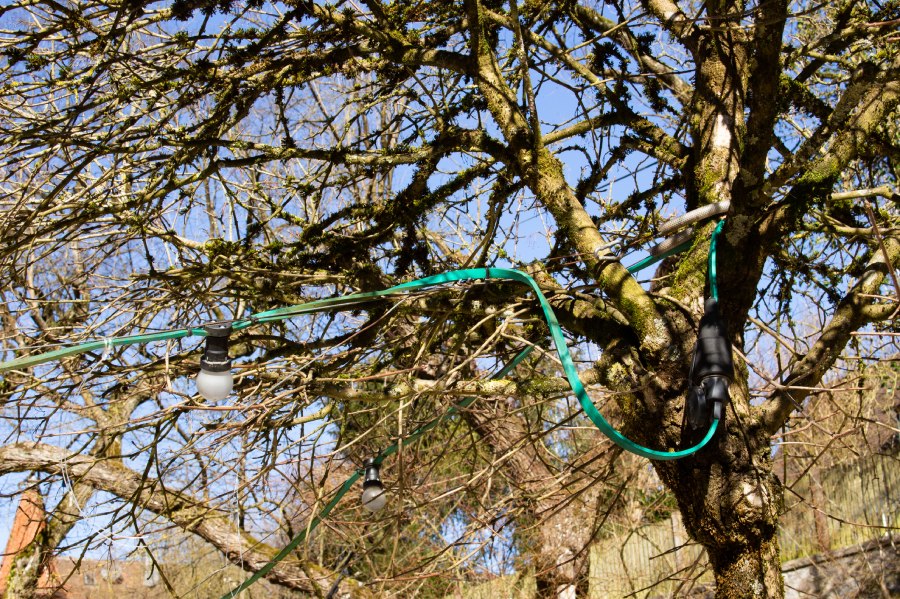 Remove Cabling